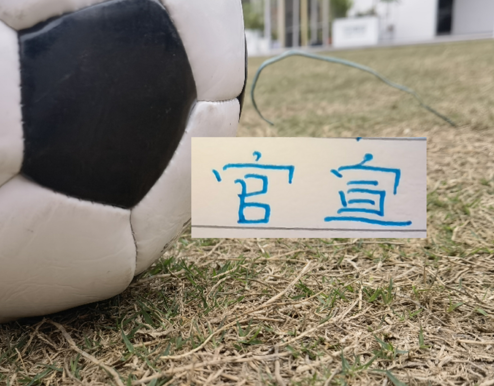 乐鱼体育在线-申花又官宣2人离队！今年离开阵容够组队开踢了！